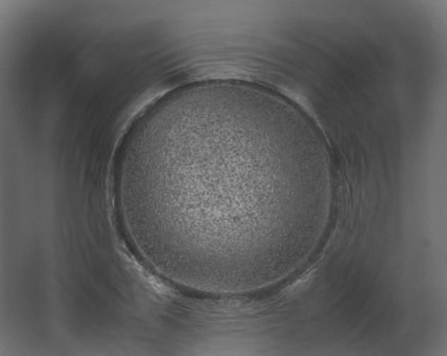 X0000067850979200604201303