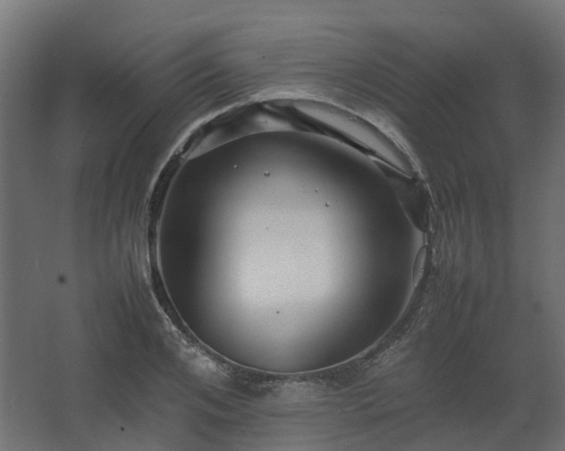 X0000067850984200604201303