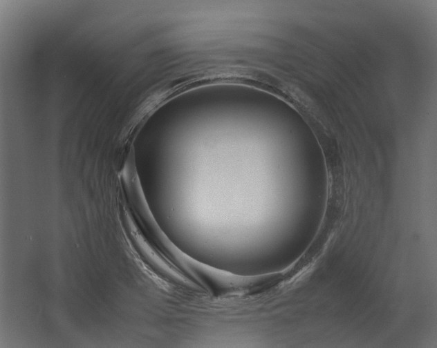 X0000067850985200604201303