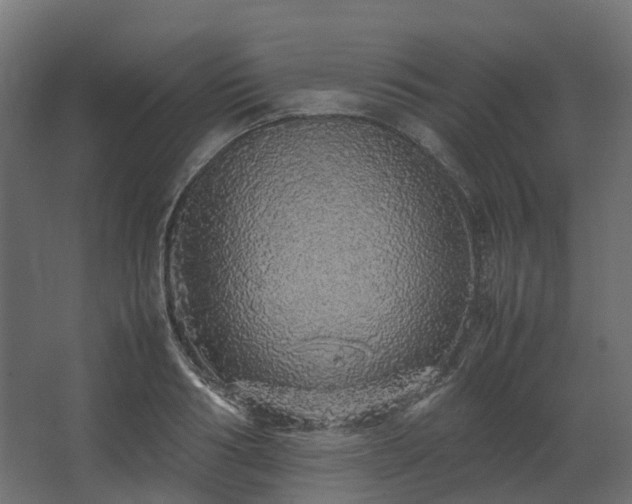 X0000067850986200604201303