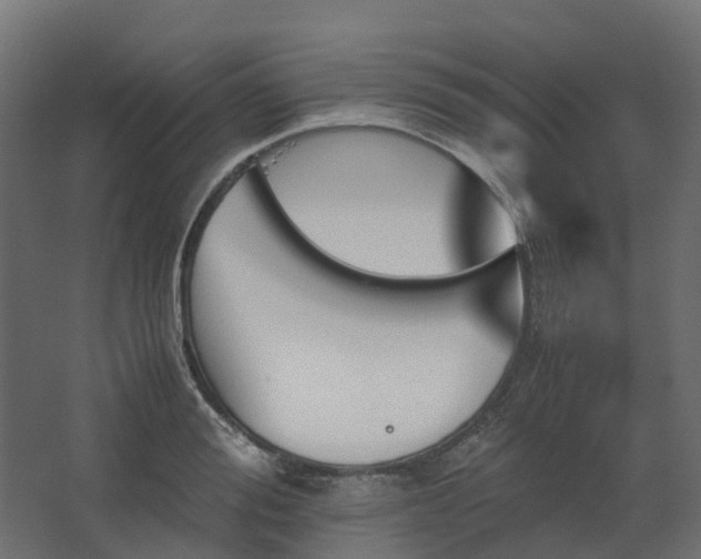 X0000067850988200604201303