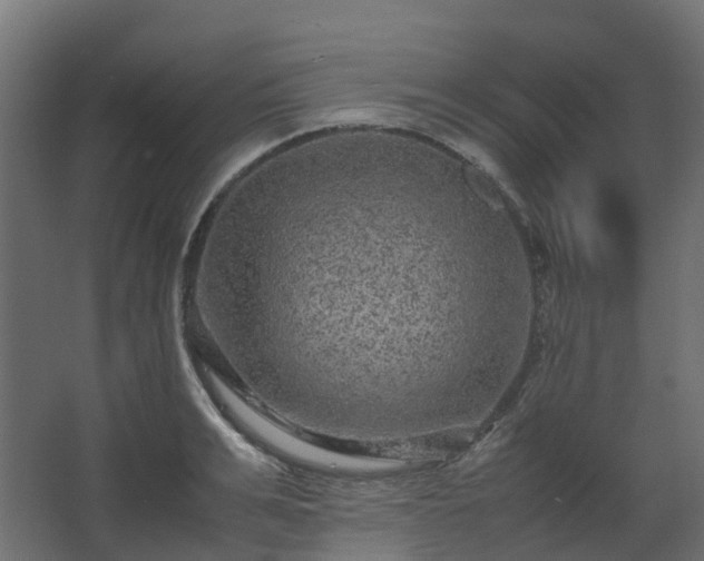 X0000067850991200604201303