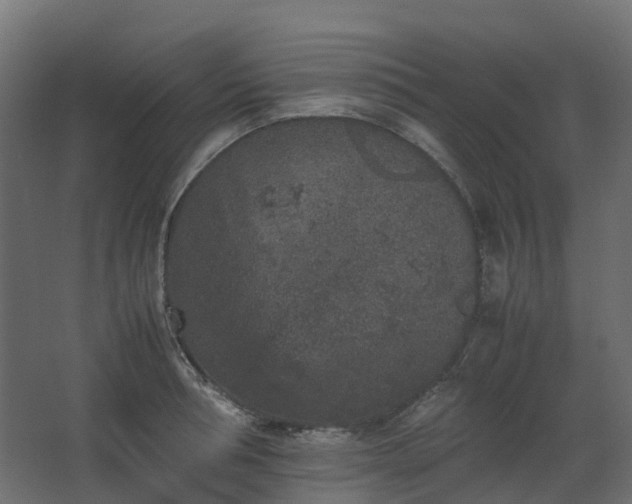 X0000067850994200604201303