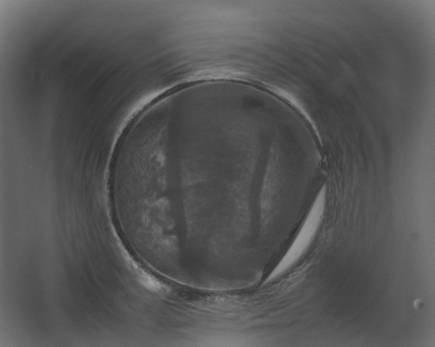 X0000067850995200604201303