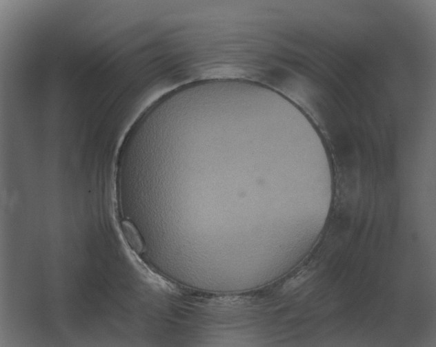 X0000067851000200604201302