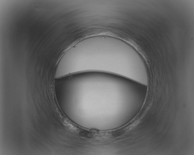 X0000067851001200604201302