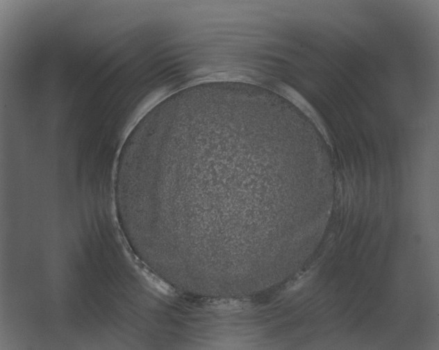 X0000067851002200604201302