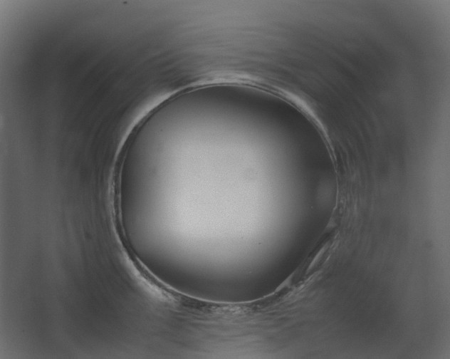 X0000067851003200604201302