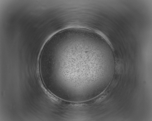 X0000067851004200604201302