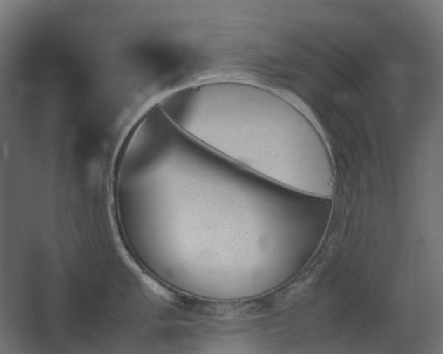 X0000067851005200604201302