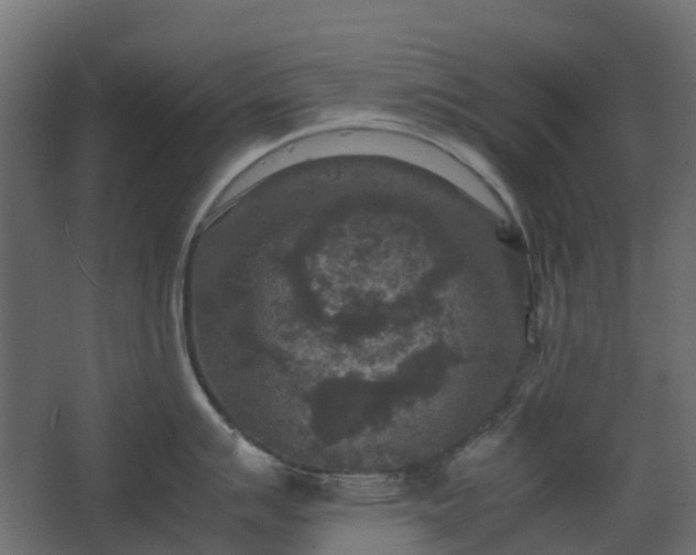 X0000067851007200604201302