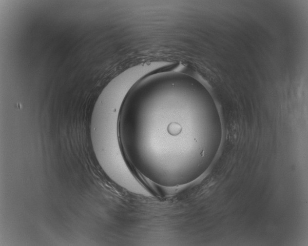 X0000067851010200604201302