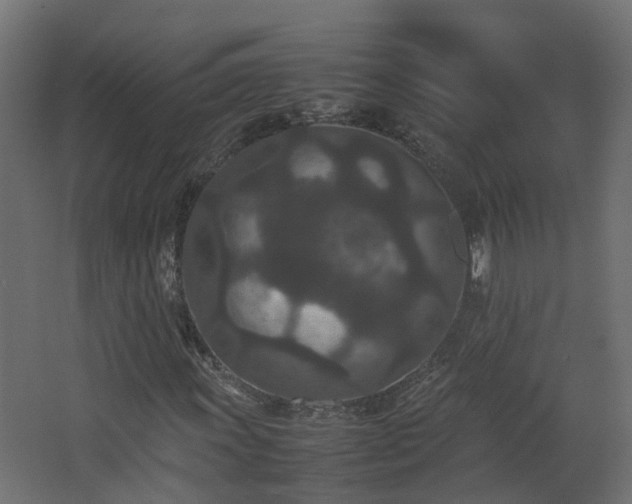 X0000067851011200604201302