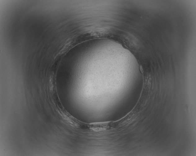 X0000067851012200604201302