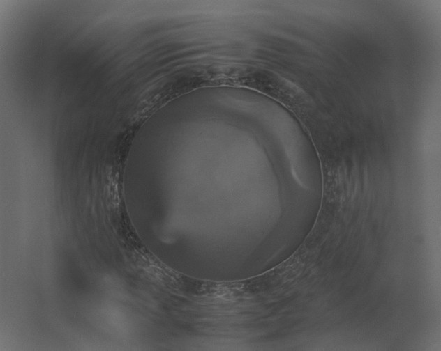 X0000067851013200604201302