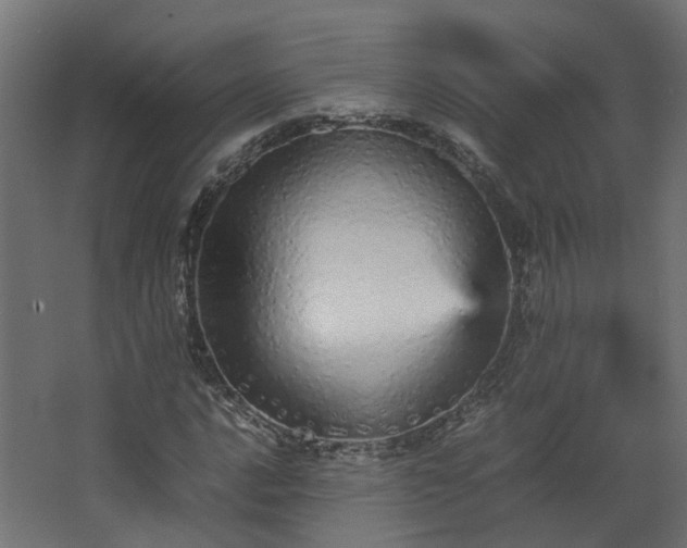 X0000067851016200604201302