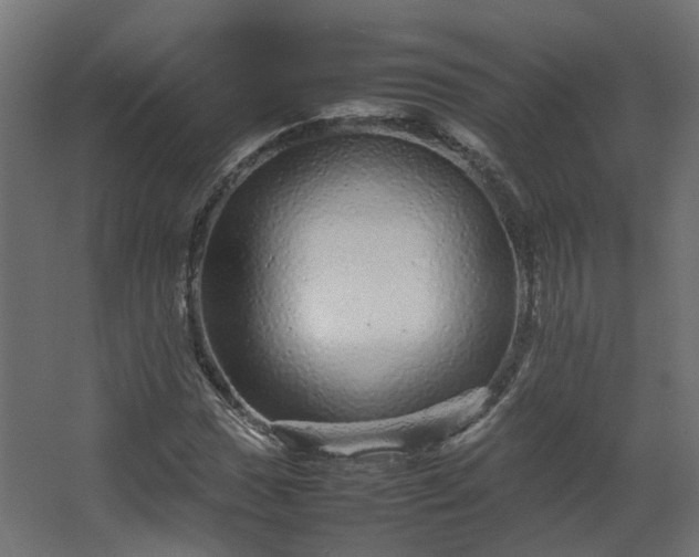 X0000067851017200604201302