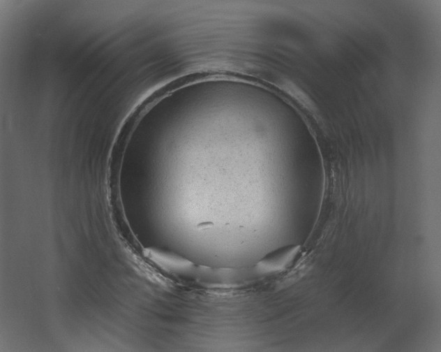 X0000067851020200604201302