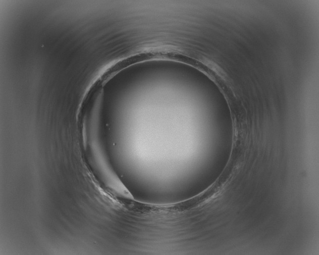 X0000067851022200604201302