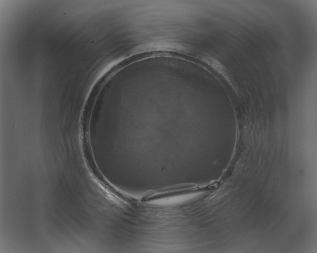 X0000067851024200604201302