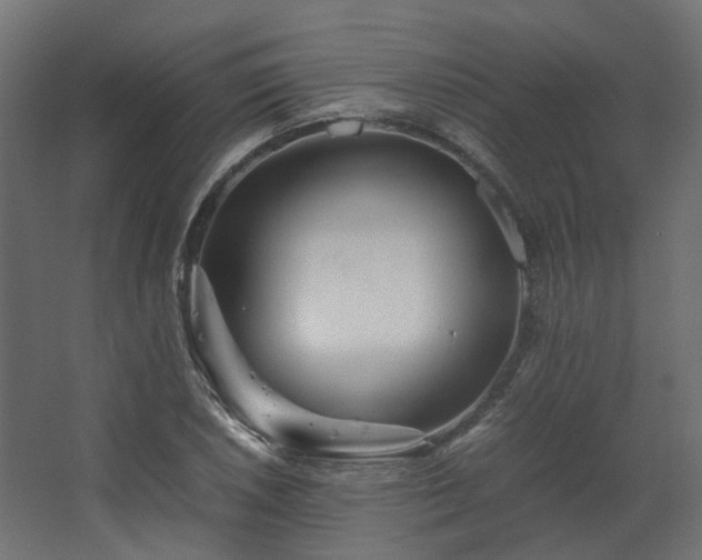 X0000067851026200604201302