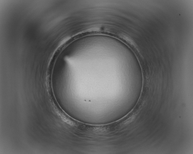 X0000067851029200604201302