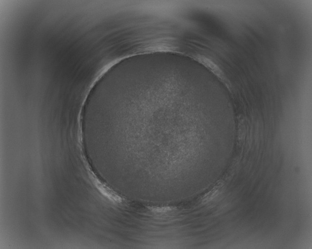 X0000067851031200604201302