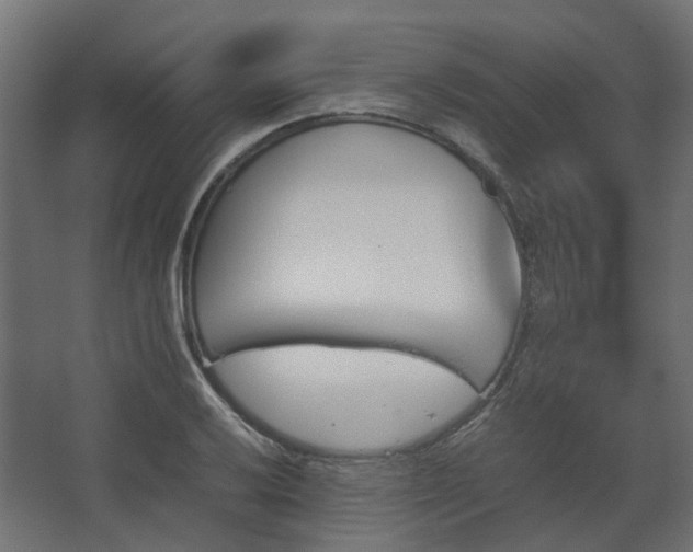 X0000067851032200604201302