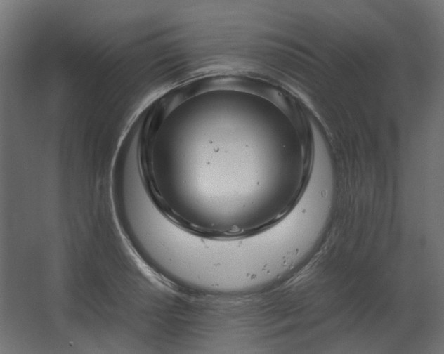 X0000067851034200604201302