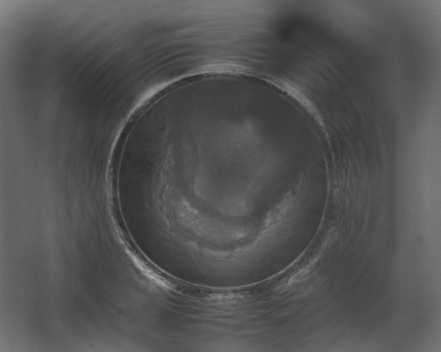X0000067851037200604201302