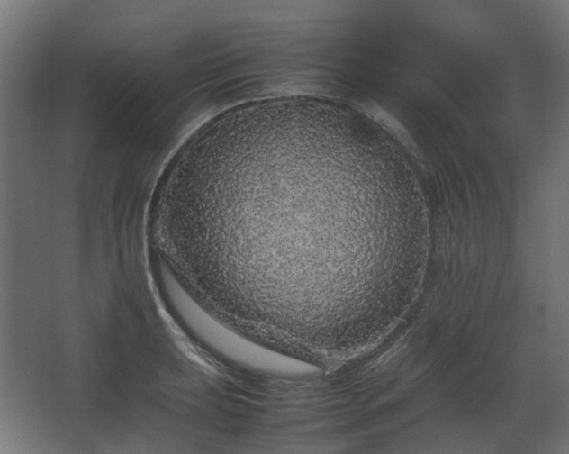 X0000067851039200604201302
