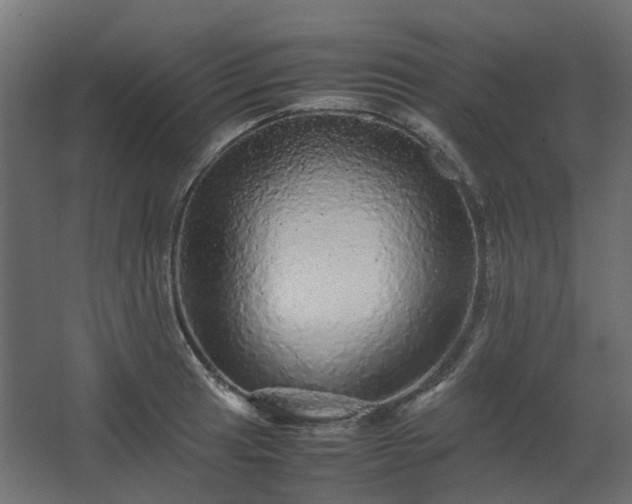 X0000067851041200604201302