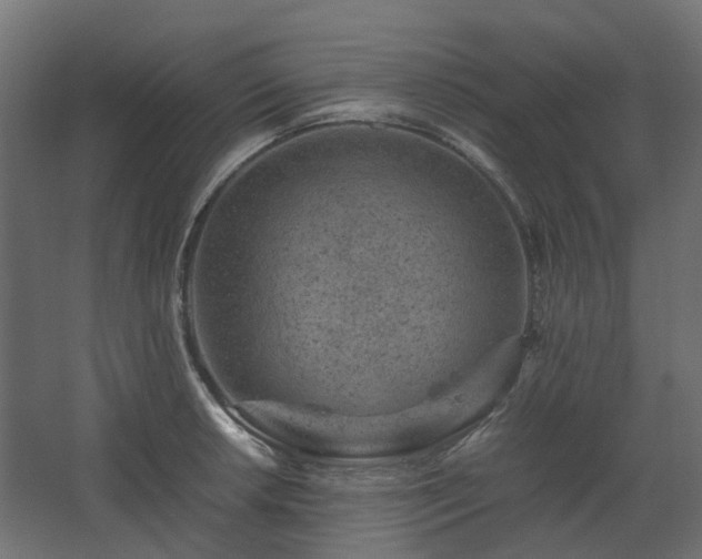 X0000067851042200604201302