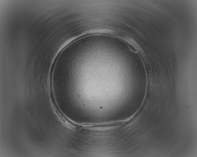 X0000067851044200604201302