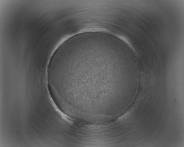 X0000067851046200604201302