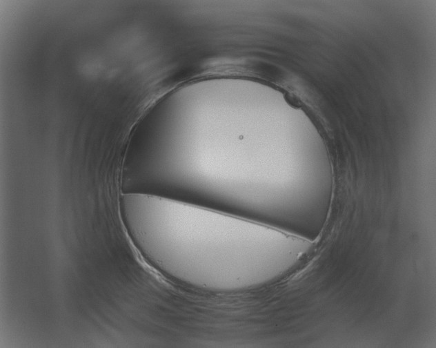 X0000067851049200604201302