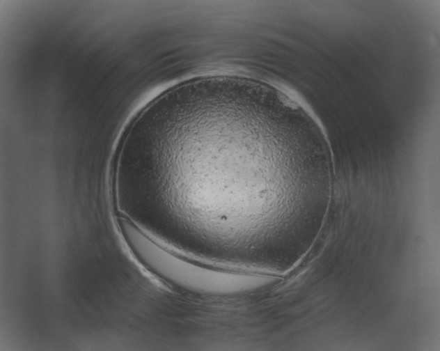 X0000067851053200604201302