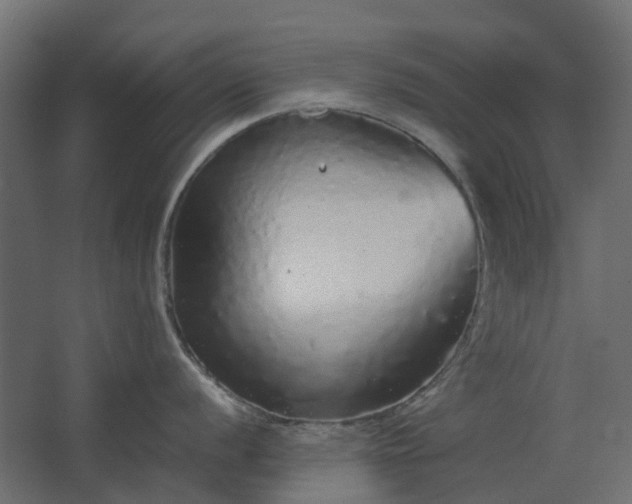 X0000067851056200604201302