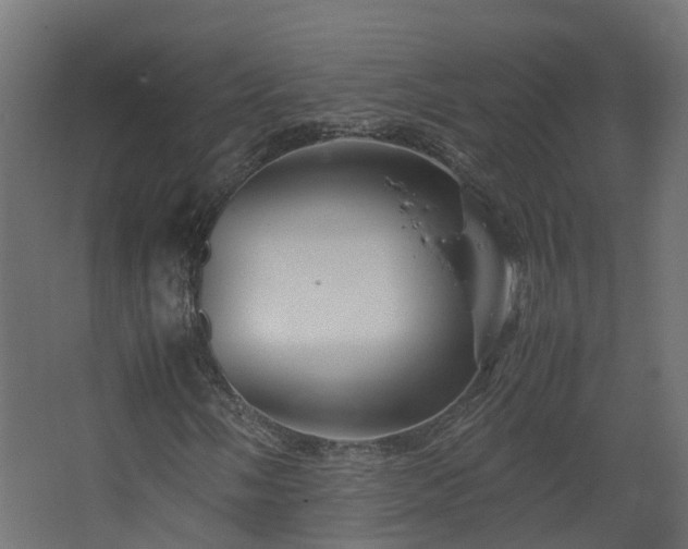 X0000067851058200604201301