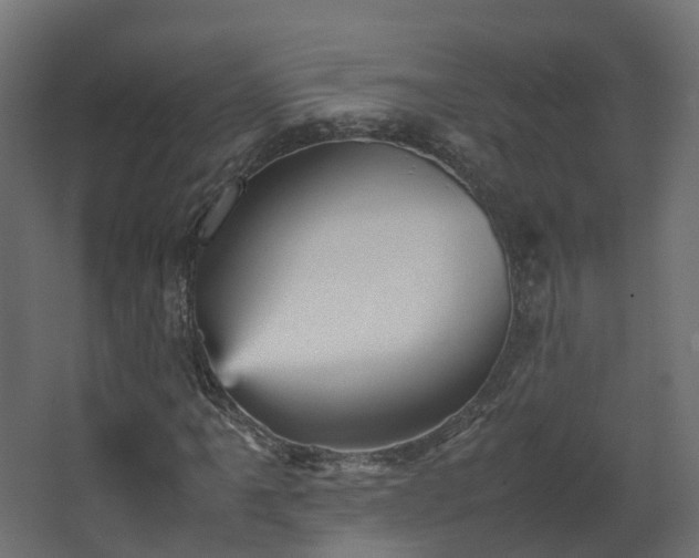 X0000067851061200604201301