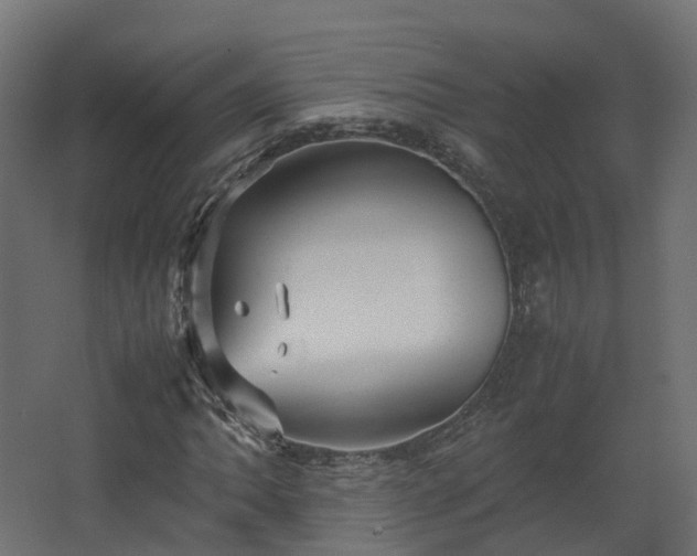 X0000067851062200604201301