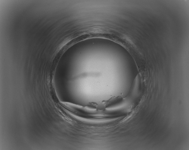 X0000067851065200604201301