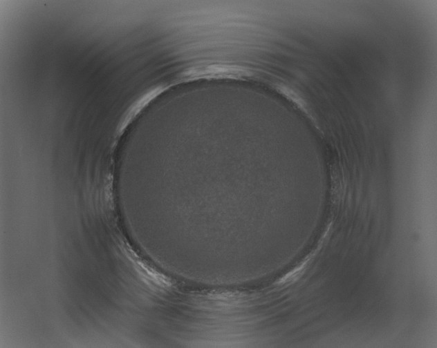X0000067851066200604201301