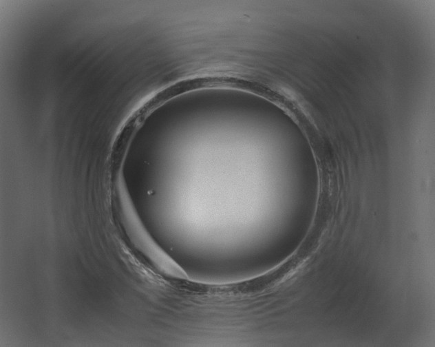 X0000067851069200604201301