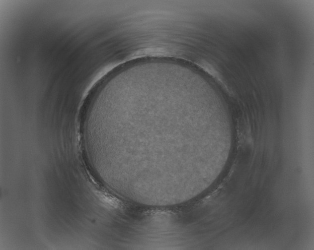 X0000067851070200604201301