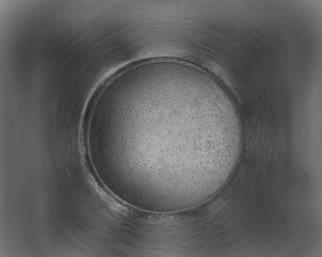 X0000067851072200604201301