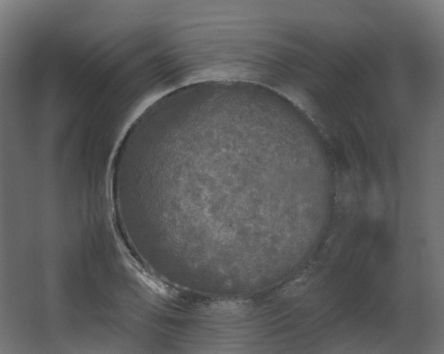 X0000067851078200604201301
