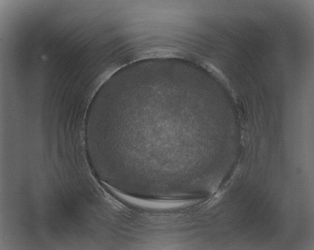 X0000067851081200604201301