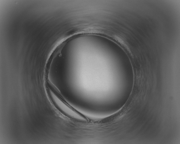 X0000067851085200604201301
