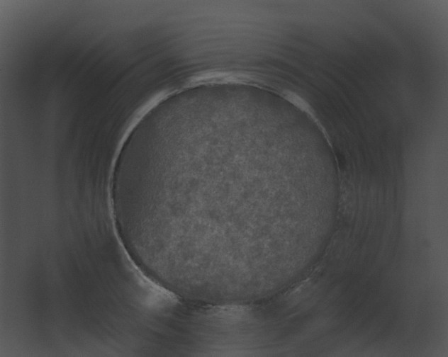 X0000067851090200604201301